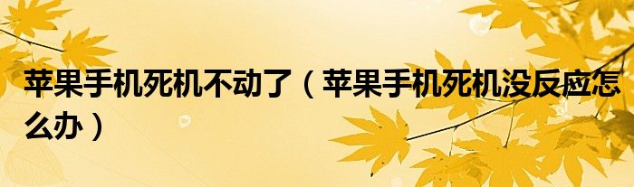 蘋果手機(jī)死機(jī)不動(dòng)了（蘋果手機(jī)死機(jī)沒反應(yīng)怎么辦）