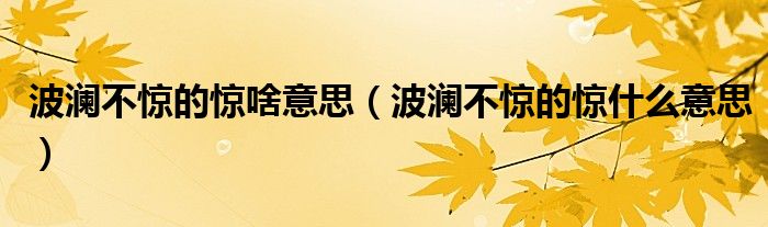 波瀾不驚的驚啥意思（波瀾不驚的驚什么意思）