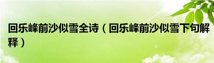 回樂(lè)峰前沙似雪全詩(shī)（回樂(lè)峰前沙似雪下句解釋）