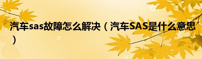 汽車sas故障怎么解決（汽車SAS是什么意思）