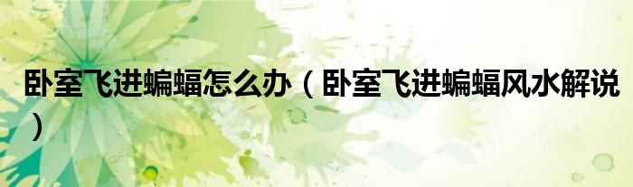 臥室飛進(jìn)蝙蝠怎么辦（臥室飛進(jìn)蝙蝠風(fēng)水解說）