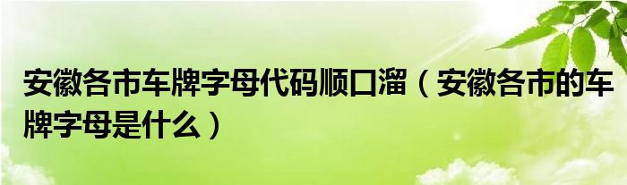 安徽各市車牌字母代碼順口溜（安徽各市的車牌字母是什么）