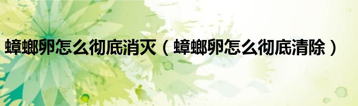蟑螂卵怎么徹底消滅（蟑螂卵怎么徹底清除）