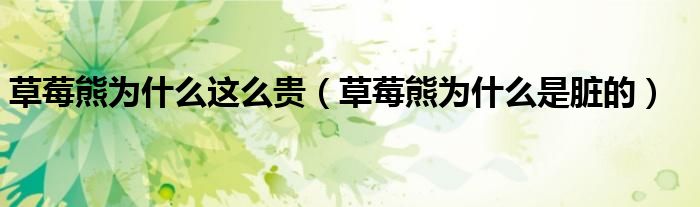 草莓熊為什么這么貴（草莓熊為什么是臟的）