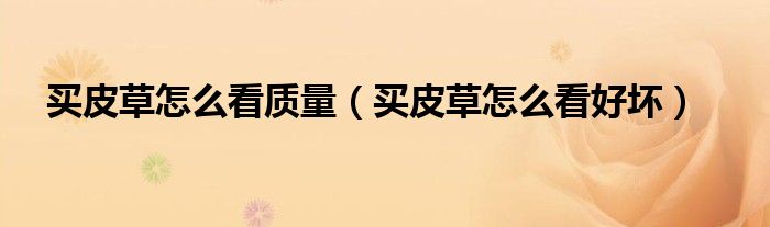 買皮草怎么看質(zhì)量（買皮草怎么看好壞）