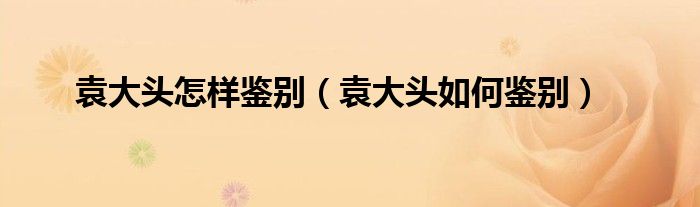 袁大頭怎樣鑒別（袁大頭如何鑒別）