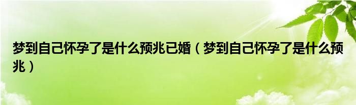 夢(mèng)到自己懷孕了是什么預(yù)兆已婚（夢(mèng)到自己懷孕了是什么預(yù)兆）