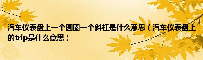 汽車儀表盤上一個(gè)圓圈一個(gè)斜杠是什么意思（汽車儀表盤上的trip是什么意思）