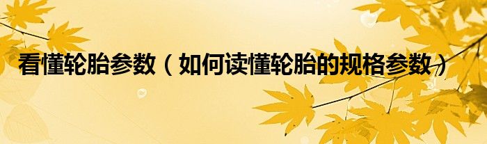看懂輪胎參數(shù)（如何讀懂輪胎的規(guī)格參數(shù)）