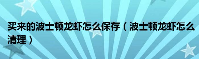 買來的波士頓龍蝦怎么保存（波士頓龍蝦怎么清理）