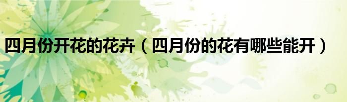四月份開花的花卉（四月份的花有哪些能開）