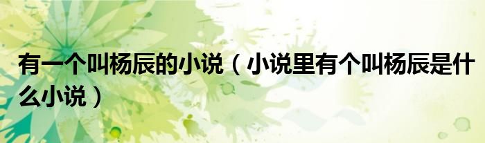 有一個叫楊辰的小說（小說里有個叫楊辰是什么小說）