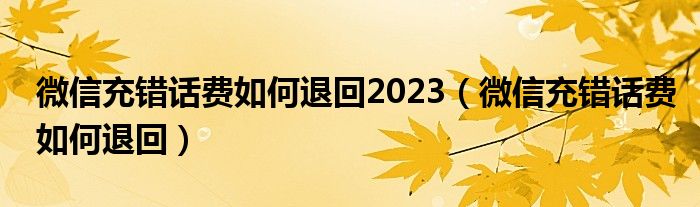 微信充錯話費如何退回2023（微信充錯話費如何退回）
