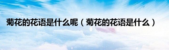 菊花的花語是什么呢（菊花的花語是什么）