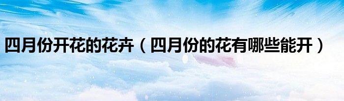 四月份開(kāi)花的花卉（四月份的花有哪些能開(kāi)）