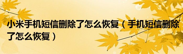 小米手機短信刪除了怎么恢復(fù)（手機短信刪除了怎么恢復(fù)）
