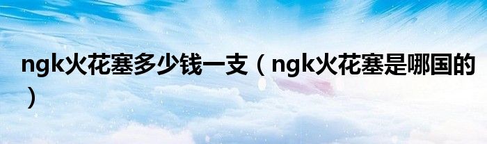 ngk火花塞多少錢一支（ngk火花塞是哪國的）