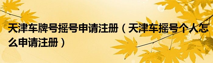 天津車牌號(hào)搖號(hào)申請(qǐng)注冊(cè)（天津車搖號(hào)個(gè)人怎么申請(qǐng)注冊(cè)）