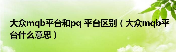 大眾mqb平臺和pq 平臺區(qū)別（大眾mqb平臺什么意思）