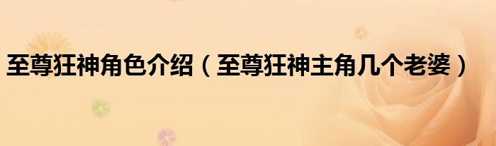 至尊狂神角色介紹（至尊狂神主角幾個(gè)老婆）