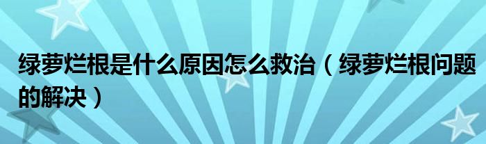 綠蘿爛根是什么原因怎么救治（綠蘿爛根問題的解決）