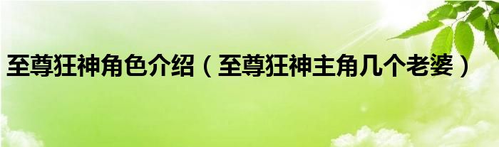 至尊狂神角色介紹（至尊狂神主角幾個老婆）