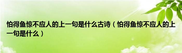 怕得魚驚不應(yīng)人的上一句是什么古詩（怕得魚驚不應(yīng)人的上一句是什么）