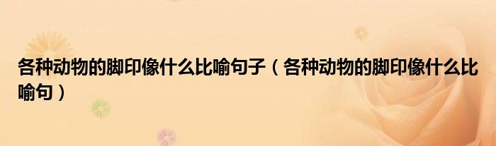 各種動(dòng)物的腳印像什么比喻句子（各種動(dòng)物的腳印像什么比喻句）