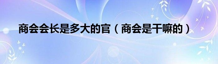 商會會長是多大的官（商會是干嘛的）