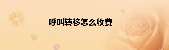 呼叫轉(zhuǎn)移怎么收費(fèi)