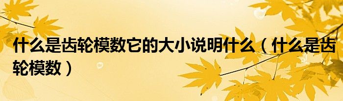 什么是齒輪模數(shù)它的大小說明什么（什么是齒輪模數(shù)）