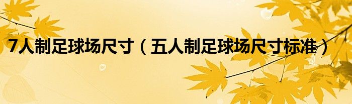 7人制足球場尺寸（五人制足球場尺寸標準）