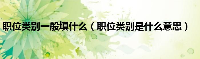 職位類別一般填什么（職位類別是什么意思）