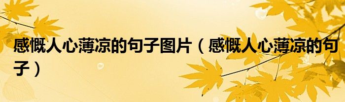 感慨人心薄涼的句子圖片（感慨人心薄涼的句子）