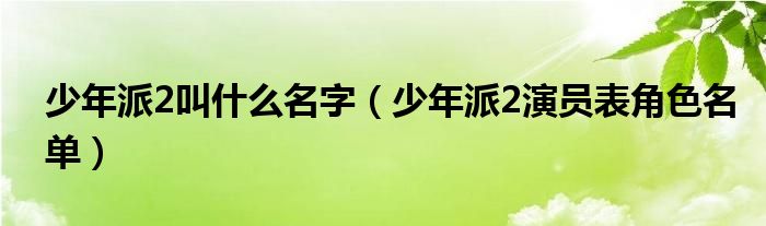 少年派2叫什么名字（少年派2演員表角色名單）