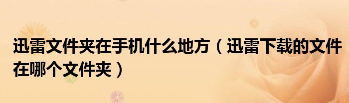 迅雷文件夾在手機什么地方（迅雷下載的文件在哪個文件夾）