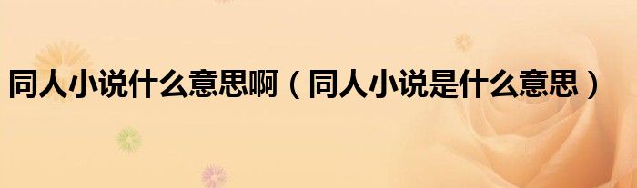 同人小說什么意思啊（同人小說是什么意思）