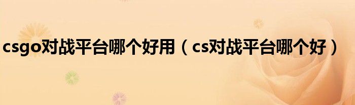csgo對戰(zhàn)平臺哪個好用（cs對戰(zhàn)平臺哪個好）