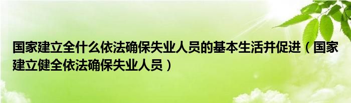國(guó)家建立全什么依法確保失業(yè)人員的基本生活并促進(jìn)（國(guó)家建立健全依法確保失業(yè)人員）