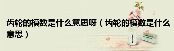 齒輪的模數(shù)是什么意思呀（齒輪的模數(shù)是什么意思）