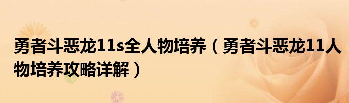 勇者斗惡龍11s全人物培養(yǎng)（勇者斗惡龍11人物培養(yǎng)攻略詳解）