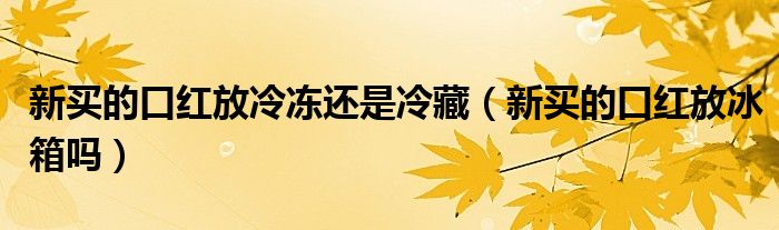 新買的口紅放冷凍還是冷藏（新買的口紅放冰箱嗎）