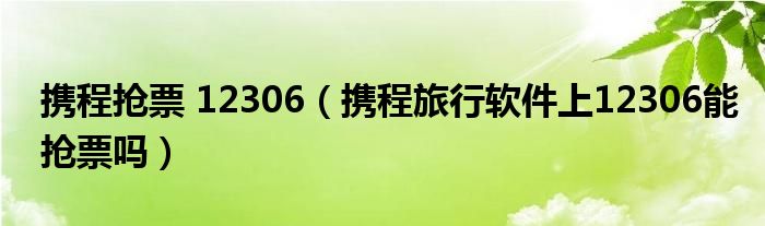 攜程搶票 12306（攜程旅行軟件上12306能搶票嗎）