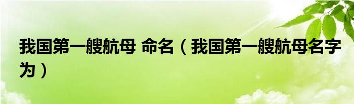 我國(guó)第一艘航母 命名（我國(guó)第一艘航母名字為）