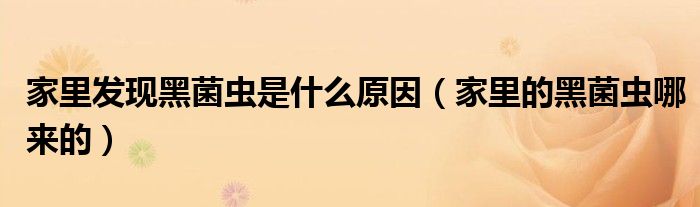家里發(fā)現(xiàn)黑菌蟲是什么原因（家里的黑菌蟲哪來的）