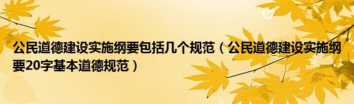 公民道德建設(shè)實施綱要包括幾個規(guī)范（公民道德建設(shè)實施綱要20字基本道德規(guī)范）