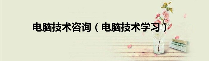電腦技術(shù)咨詢（電腦技術(shù)學(xué)習(xí)）