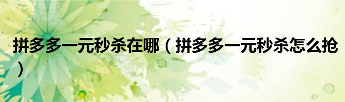 拼多多一元秒殺在哪（拼多多一元秒殺怎么搶）