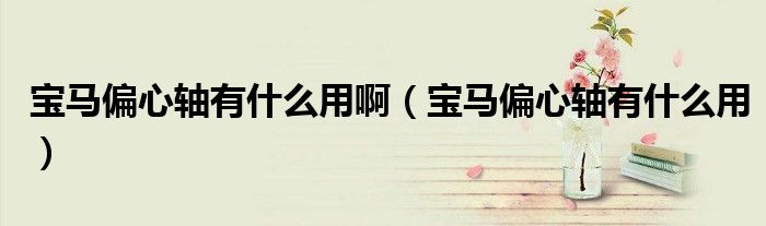 寶馬偏心軸有什么用?。▽汃R偏心軸有什么用）