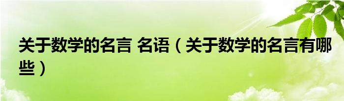 關(guān)于數(shù)學(xué)的名言 名語（關(guān)于數(shù)學(xué)的名言有哪些）